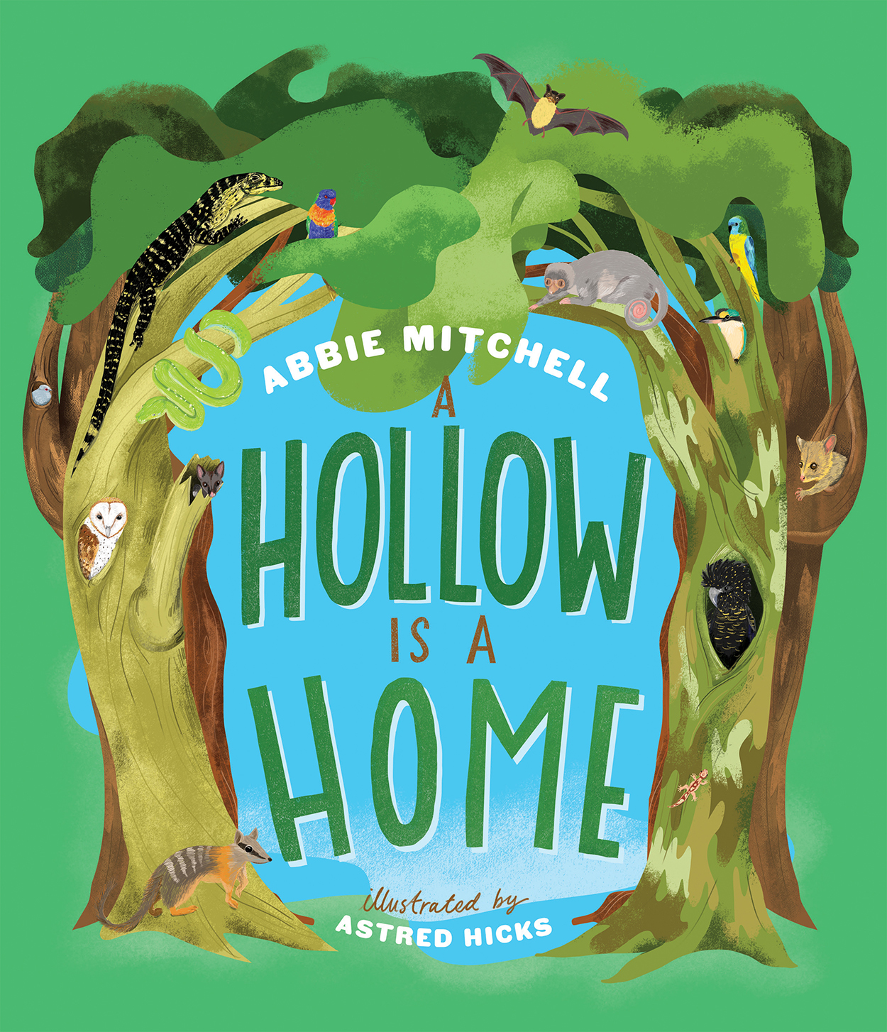 A Hollow is a Home, book cover