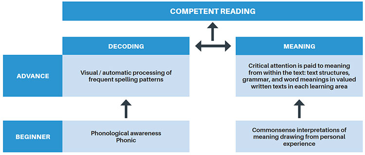 Adaptation of Grays model of readin gprovding a sequence form beginner and advanced stages for processes via decoding and meaning to competent reading 