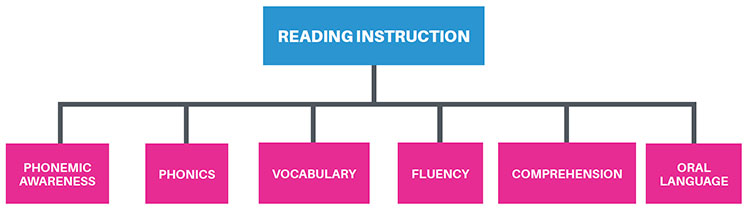 Flow diagram outlining the Big six of reding instruction as listed in text above