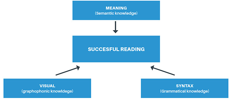 Flow diagram depicting Meaning (thematic knowledge) leading to successful reading comprised in two parts of visual and syntactical knowledge 