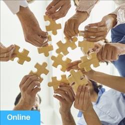 Online: Putting the literacy jigsaw together