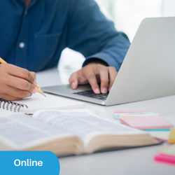 Online: Advanced sentence grammar and cohesion